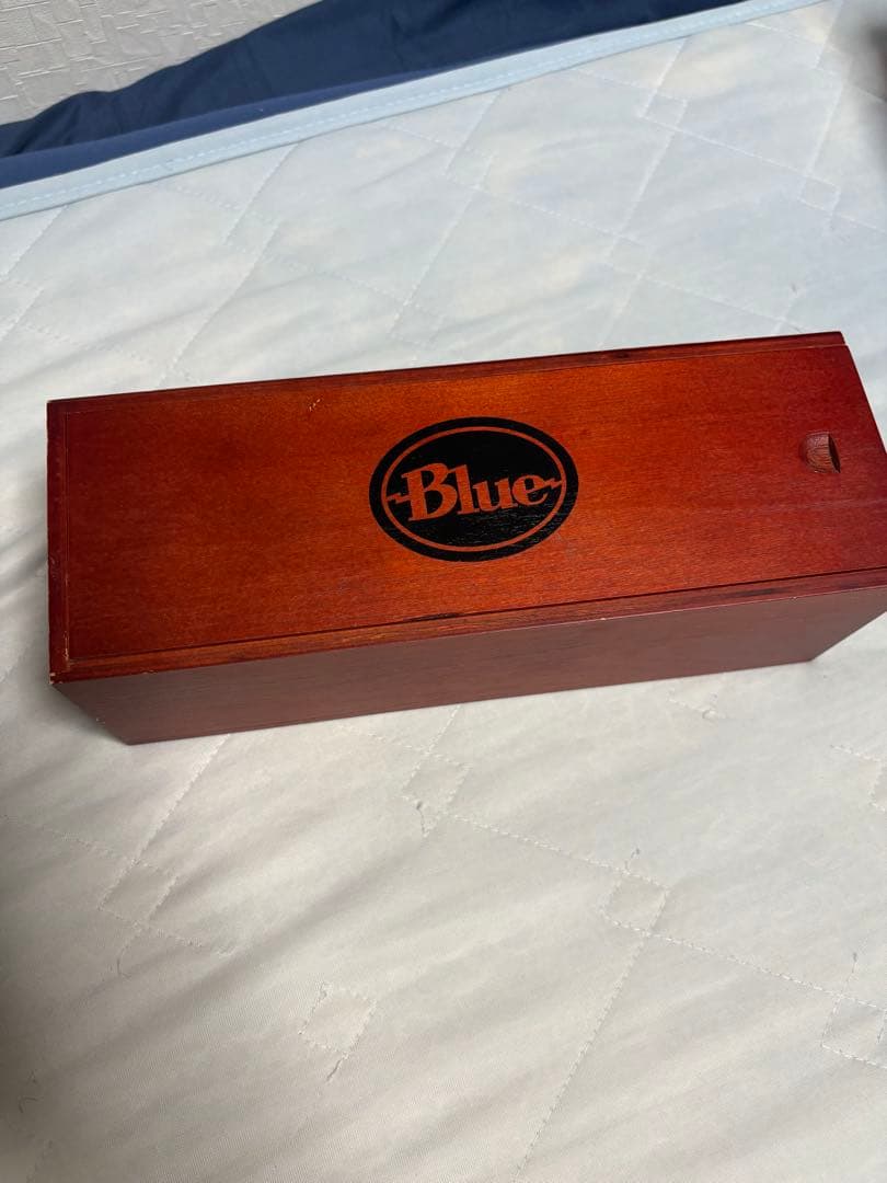 Blue Microphones Condenser