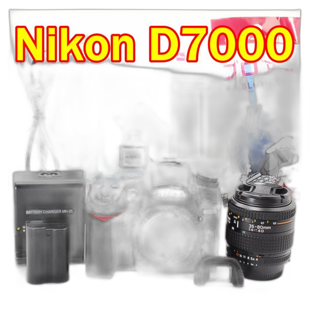 Nikon Digital Slr D7000