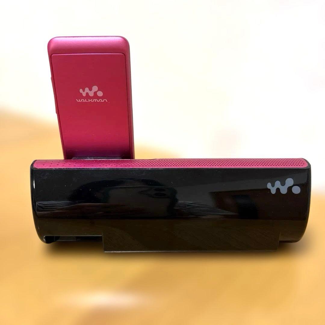 Sony Digital Audio Players Walkman N W-S13