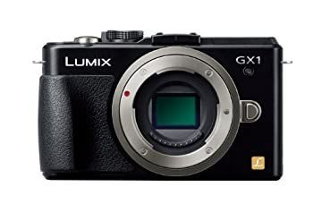 Digital Slr Gx1 1600 Dmc-Gx1-K