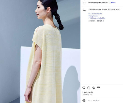 Issey Miyake Sleeveless 1325 22Ss Peek Link Knit