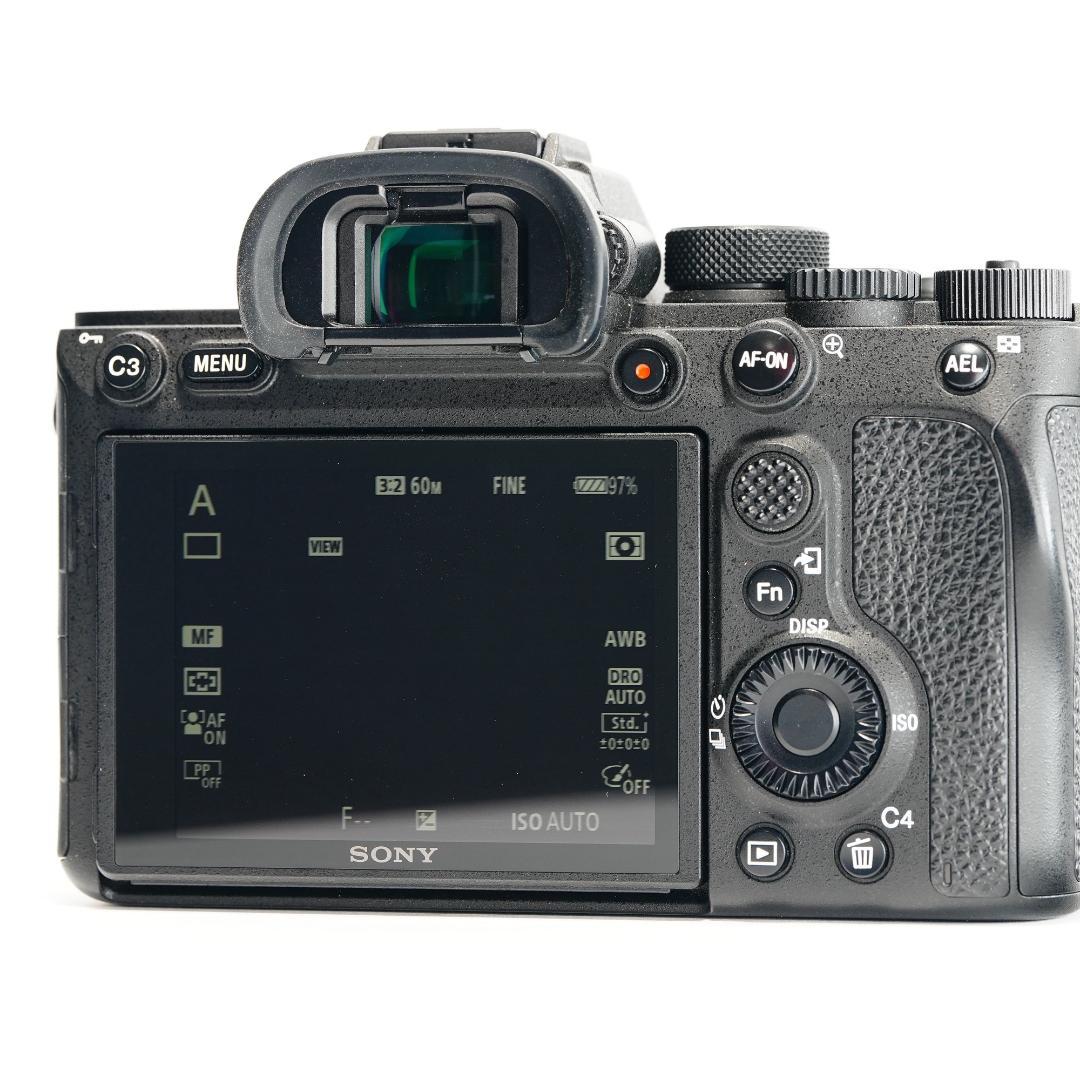 Sony Mirrorless Interchangeable Lens Cameras 7V? 7Riv 6100 767