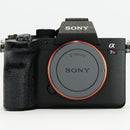 Sony Mirrorless Interchangeable Lens Cameras 7V? 7Riv 6100 767
