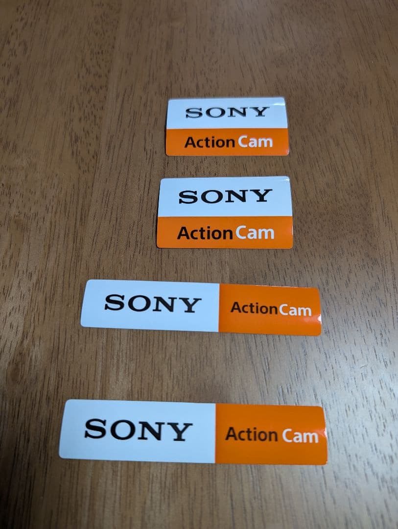 Sony Others Fdr-X1000V
