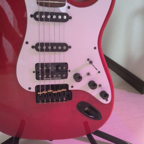 Electric Guitars P-Project Order St Type