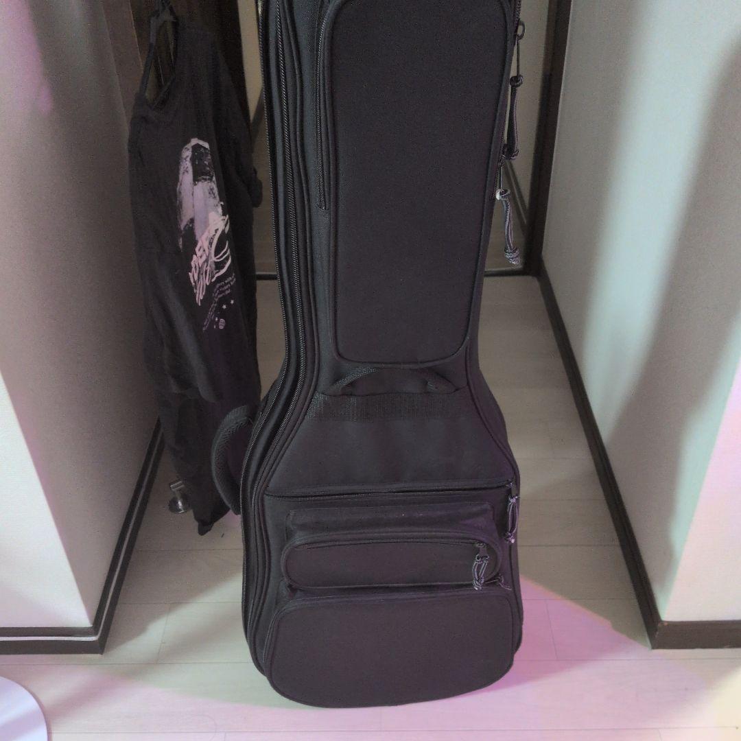 Electric Guitars P-Project Order St Type