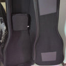 Electric Guitars P-Project Order St Type