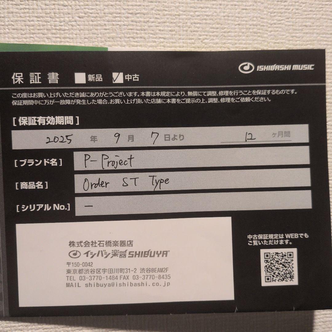 Electric Guitars P-Project Order St Type