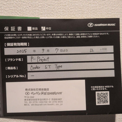 Electric Guitars P-Project Order St Type