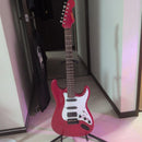 Electric Guitars P-Project Order St Type