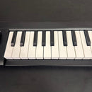 Korg Midi Keyboards Pads Microkey-37 37