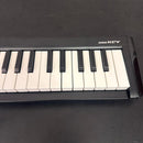 Korg Midi Keyboards Pads Microkey-37 37