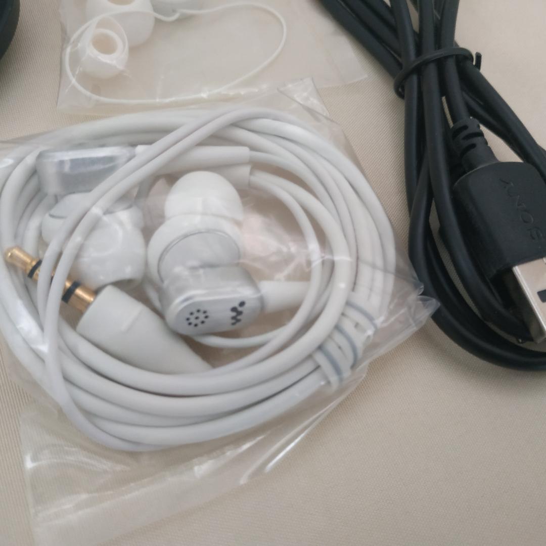 Digital Audio Players Nw-A829