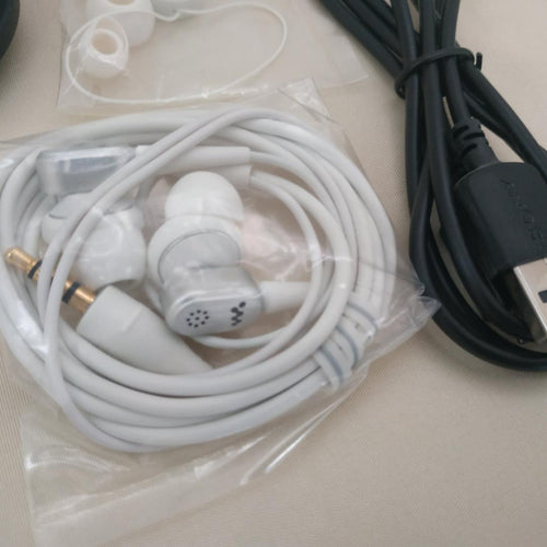 Digital Audio Players Nw-A829
