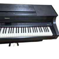 Roland Others 2011 Hp307-Sb