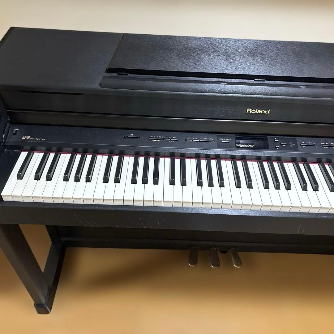 Roland Others 2011 Hp307-Sb