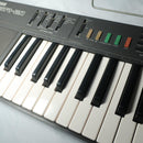 Yamaha Others Psr-21 49