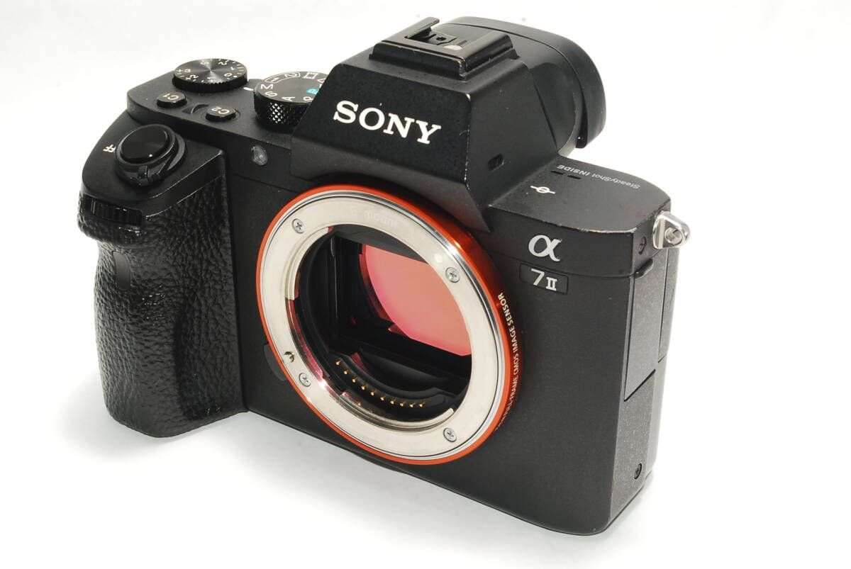 Sony Mirrorless Interchangeable Lips 7 Ii Ilce-7M2 R204