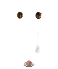 Earrings (For Both Ears) Lipsalis Spill