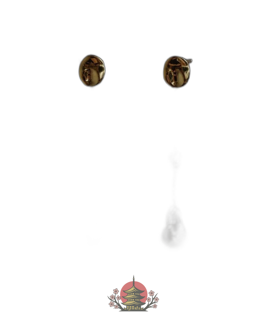 Earrings (For Both Ears) Lipsalis Spill