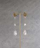 Earrings (For Both Ears) Lipsalis Spill