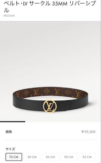 Louis Vuitton Belts