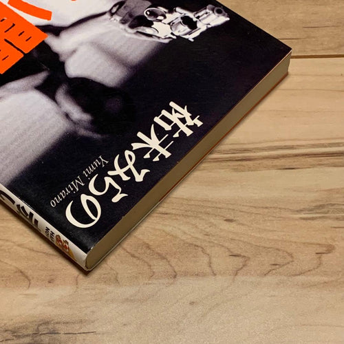 Literature Novel