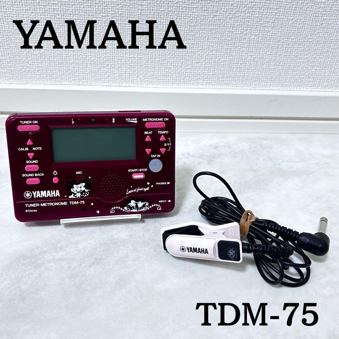 Yamaha Other Tdm-75Dmn2