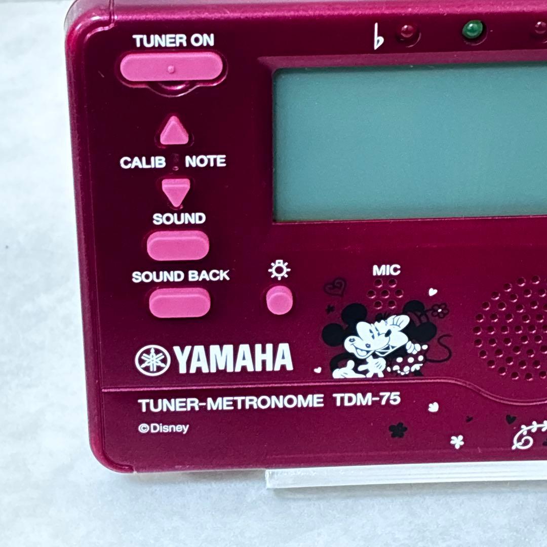 Yamaha Other Tdm-75Dmn2