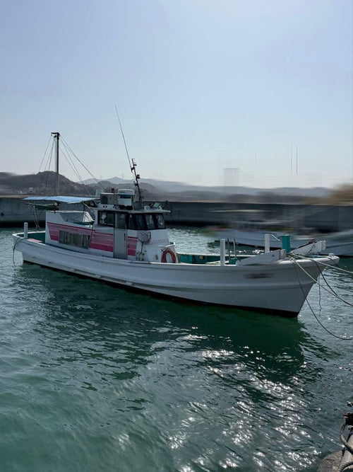 Yamaha Pleasure Boat Yacht Hull