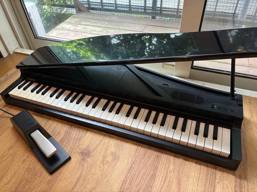 Korg Keyboards Digital Pianos