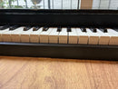 Korg Keyboards Digital Pianos