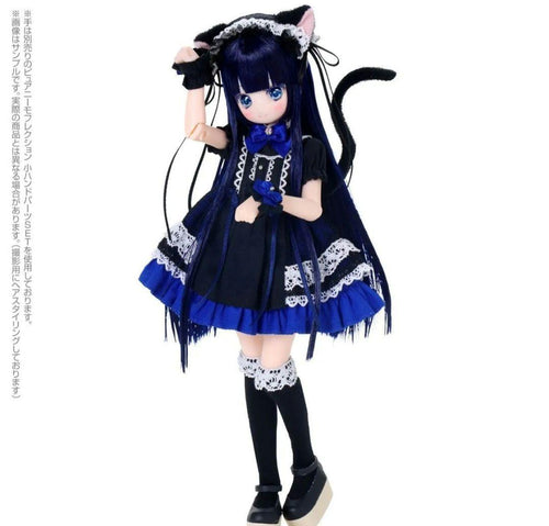 Other Azone Dreamin 12