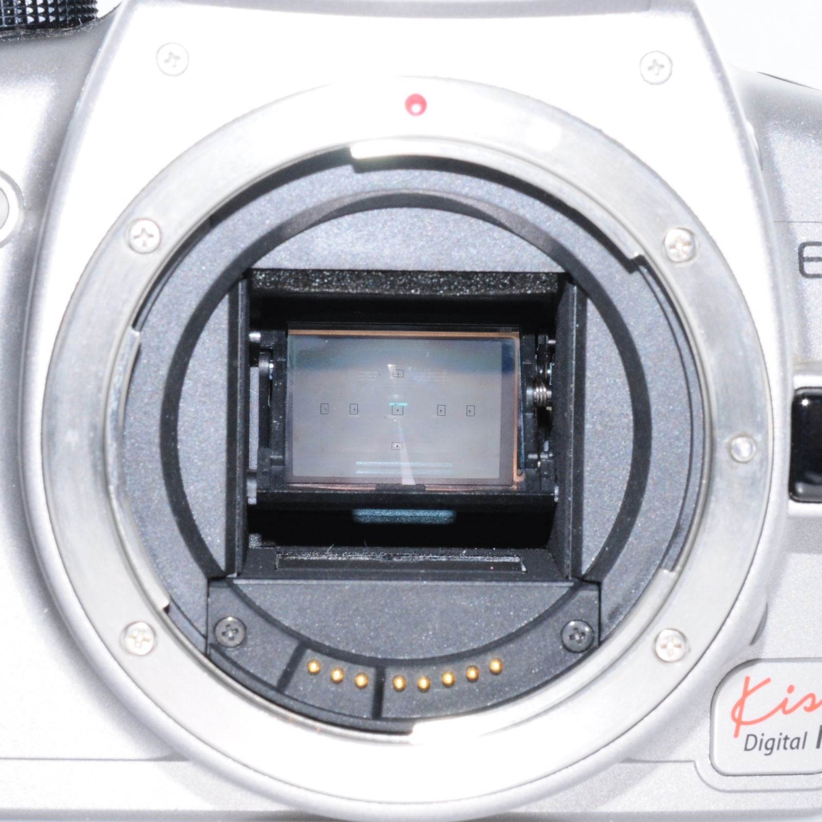 Canon Digital Slr Eos Kiss N #S387A