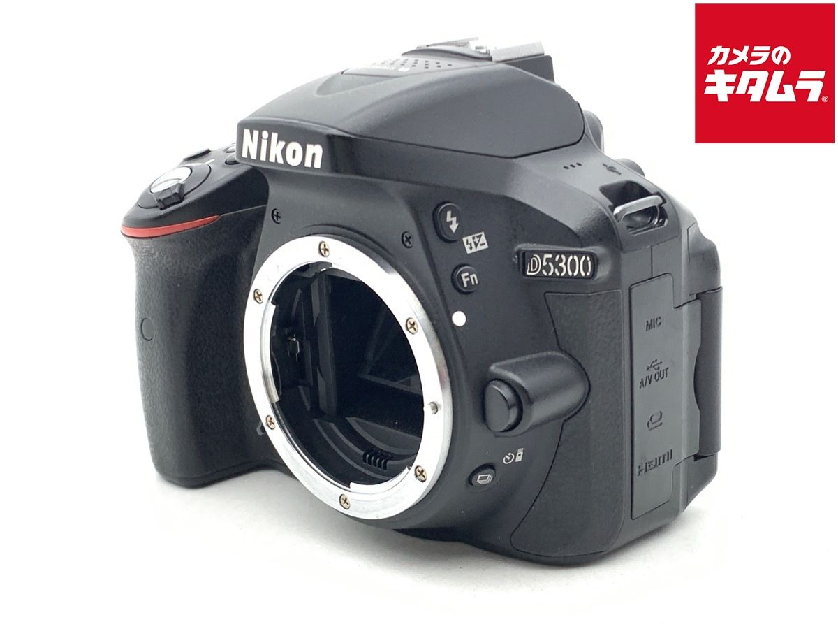 Digital Slr D5300