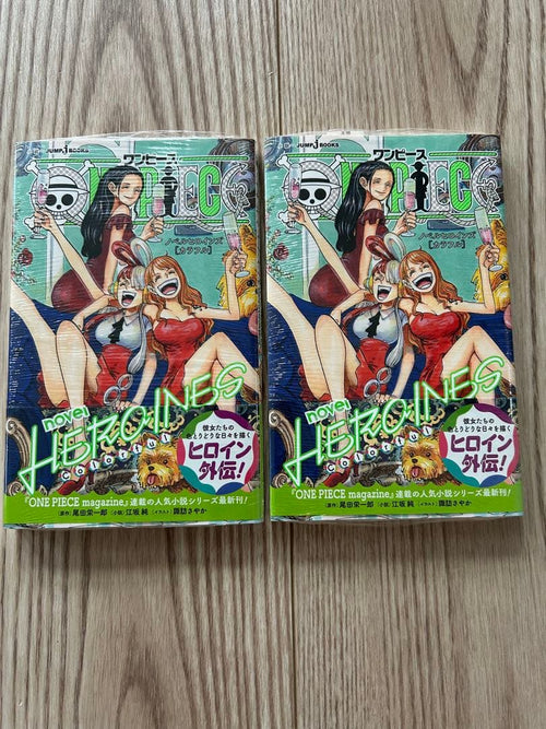 Literature Novels Novel Heroines 2