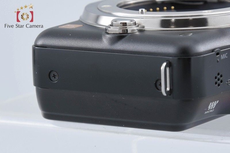 Panasonic Mirrorless Interchangeable Lips Lumix Dmc-Gf3