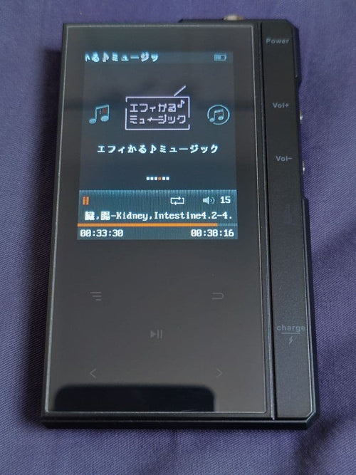 Digital Audio Players