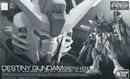 Rg (Real Grade) 1/144 Zgmf-X42S Seed Destiny [0184017]