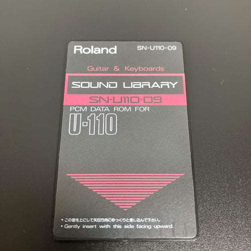 Roland Hardware Sound Source Pcm Sn-U110-09 U-110