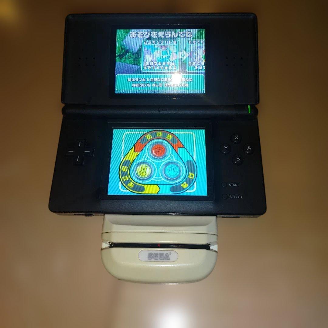 Sega Software (Package Version) Ds