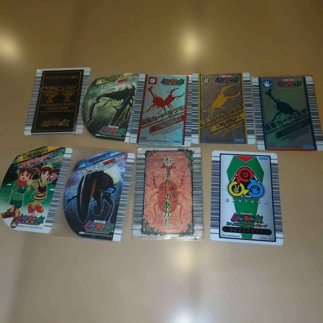 Sega Software (Package Version) Ds