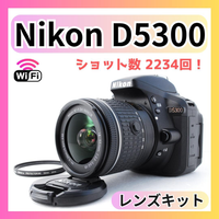 Nikon Digital Slr D5300 Wi-Fi Gps