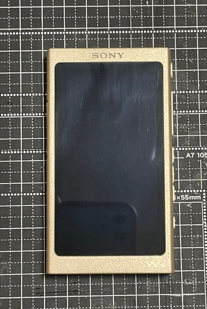 Sony Digital Audio Players Walkman Nw-A45 16G Microsdxc
