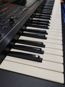 Roland Other Juno-Stage