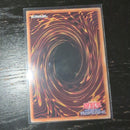 Konami Yu-Gi-Oh! Ocg Duel Monsters (Japanese) M Lice Hearts Of Crypter