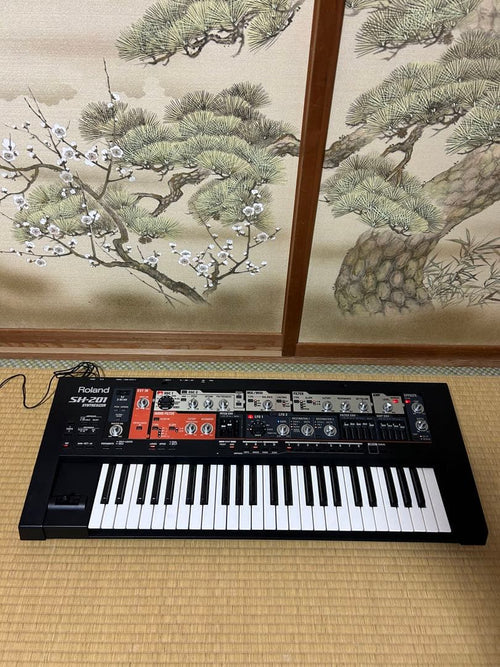 Roland Others Sh-201