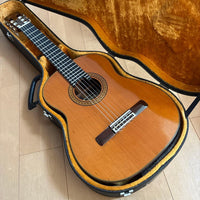 Classical Guitars T-50 1979