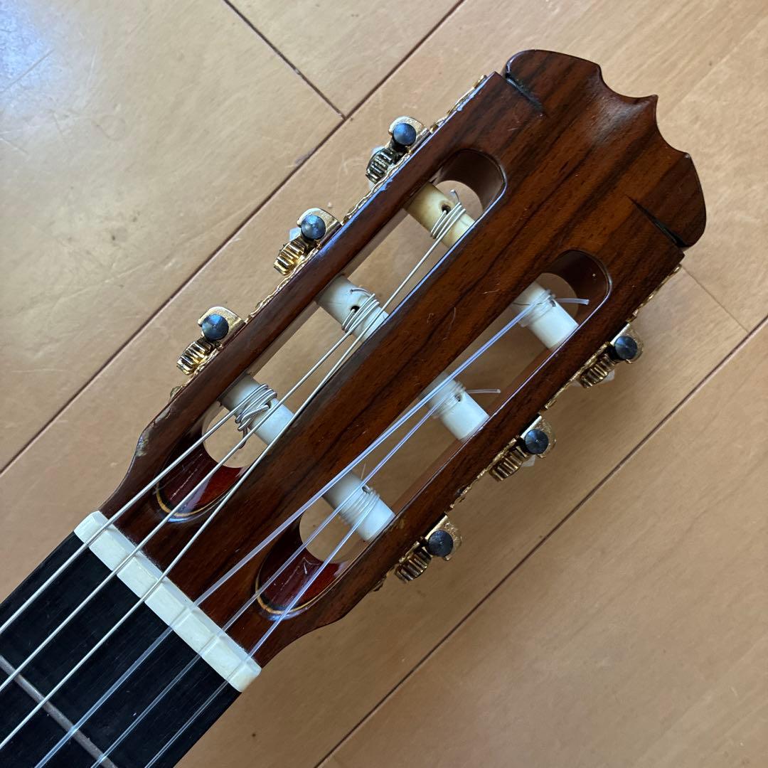 Classical Guitars T-50 1979