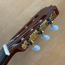 Classical Guitars T-50 1979